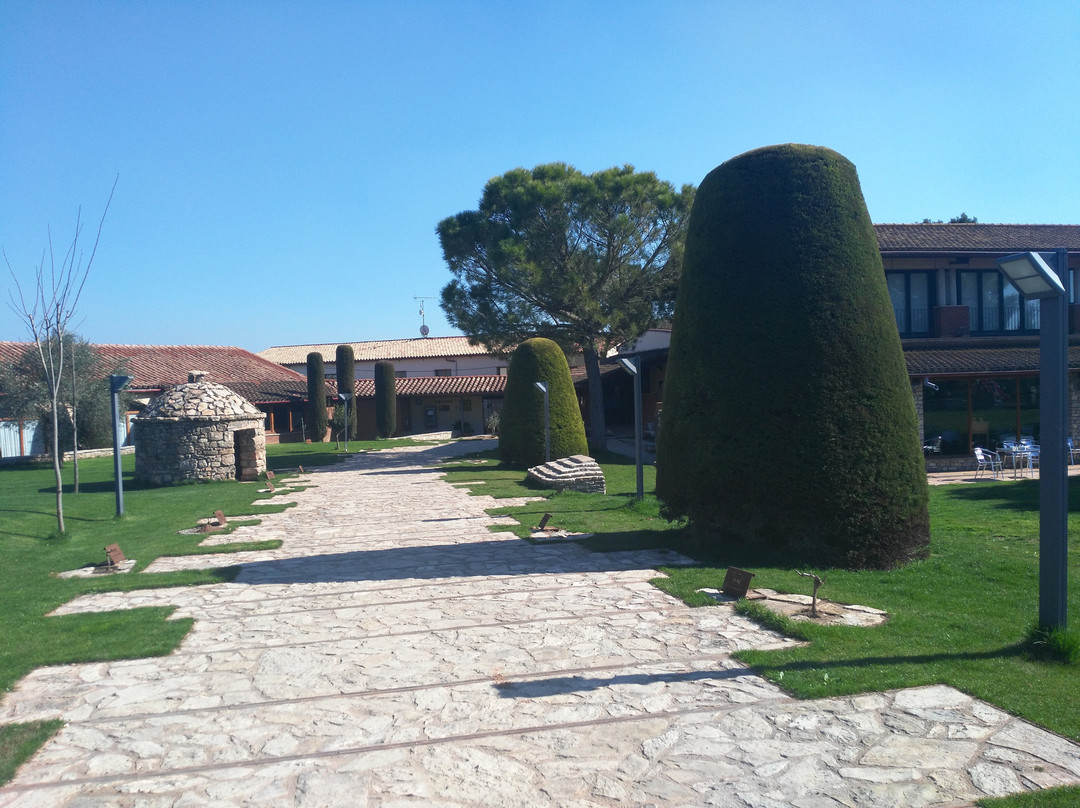 雷火电竞 -A柗G闬 